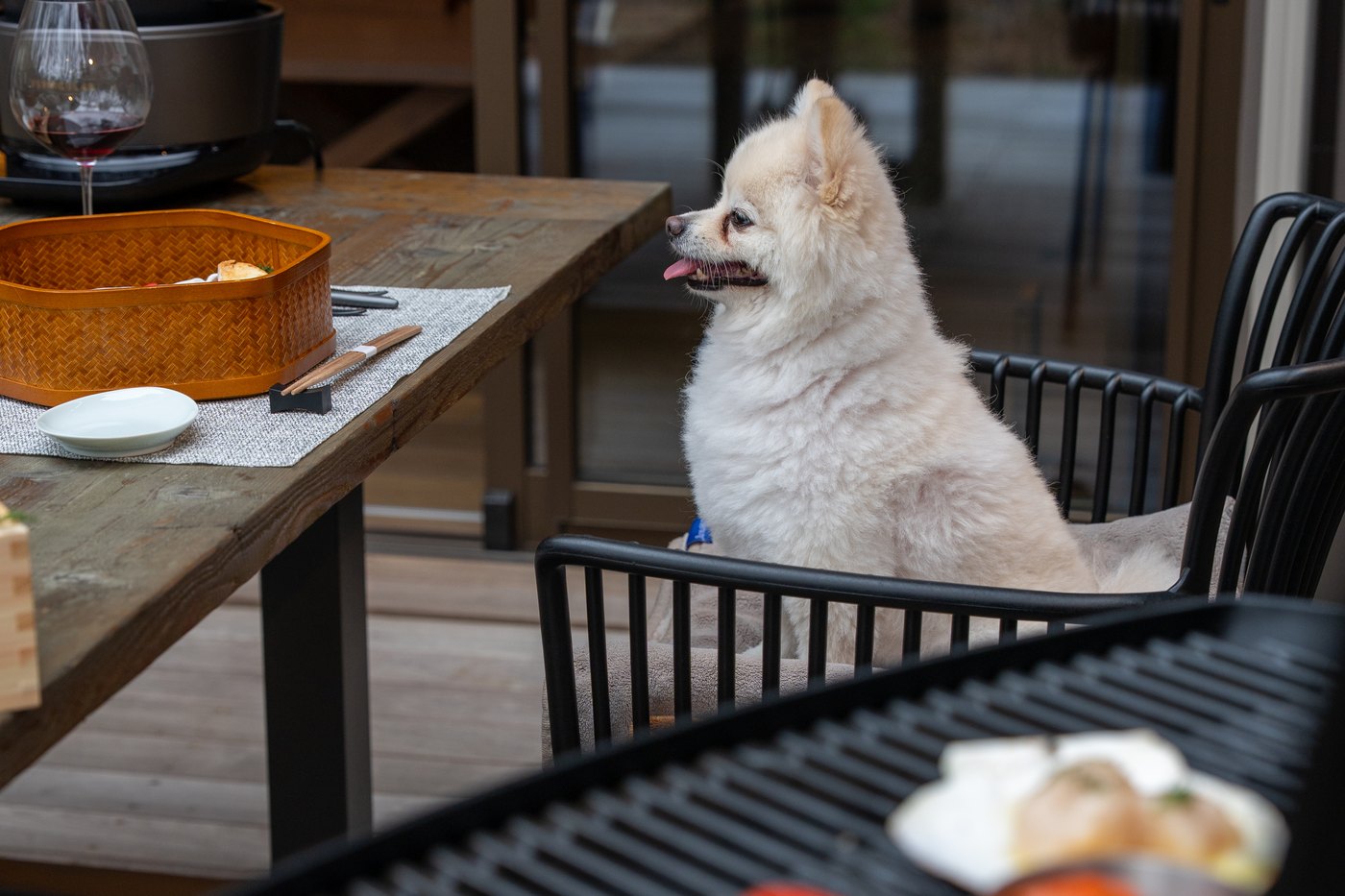 ワンちゃんもBBQ